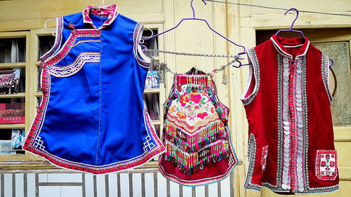 麻栗樹村的 巧繡娘