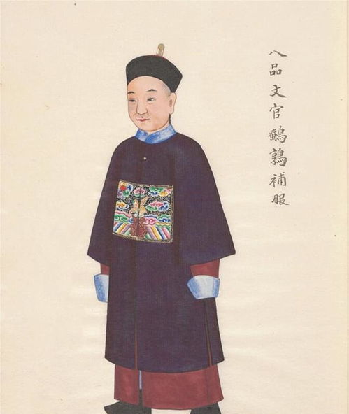 清朝文官品級服飾圖 圖1是一品仙鶴朝服,圖9是九品練雀朝服