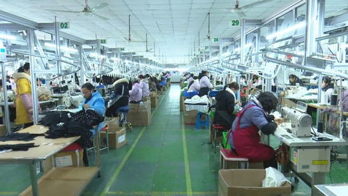 寶應企業(yè)和匯服飾公司產(chǎn)品打入歐洲市場,業(yè)務每年增長20